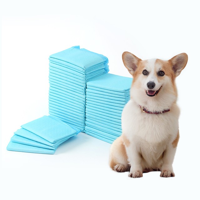 클린냥이 이미지