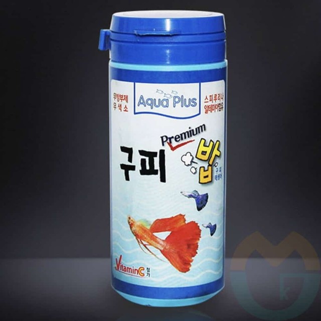 구피컴퍼니 이미지